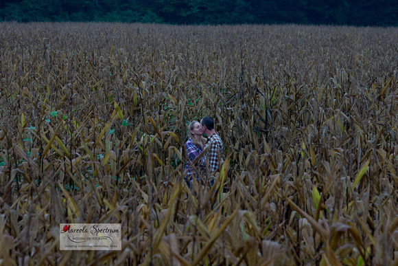 Epic engagement photo of couple kissing in corn field