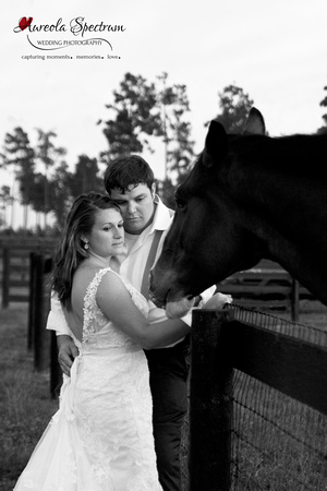 bride and groom wedding portrait with horse