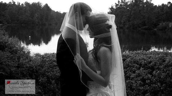 bride and groom under veil at lake