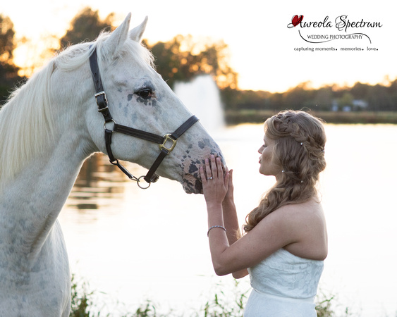 Bride with adorable horse in Monroe, NC