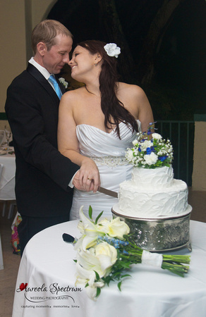 Newlyweds cut their wedding cake in Lake Lure