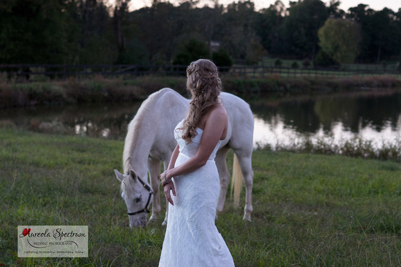 Bride and white horse in monroe, NC field
