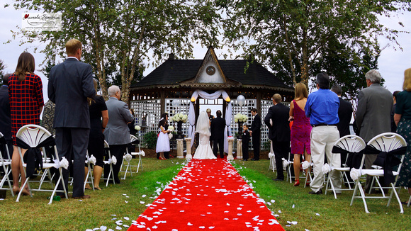 Wide angle of outdoor wedding ceremony