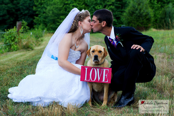 bride and groom kiss over their cute dog.