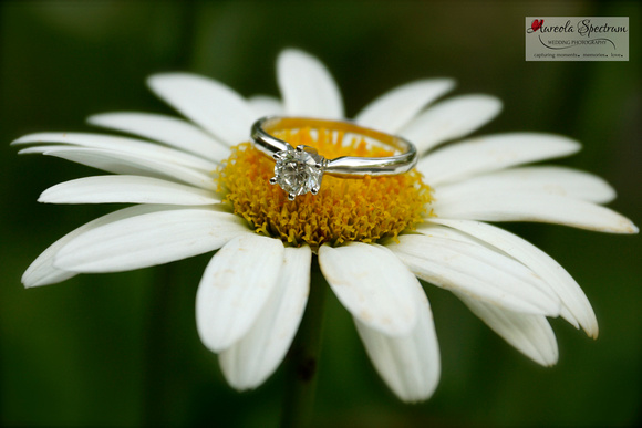 Beautiful detail of engagment ring on flower
