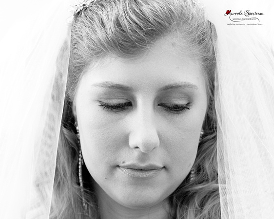 Bridal headshot with her veil