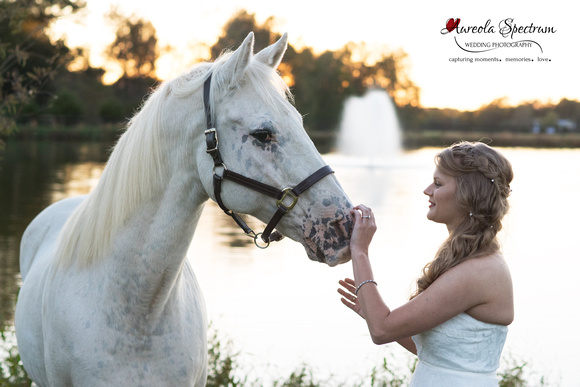 Curious horse and Beuatiful bride in Monroe, NC