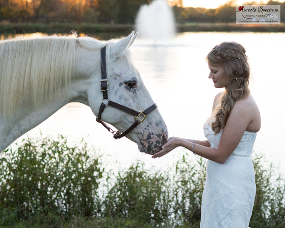 Sweet moment between bride and horse in Monroe, NC