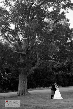 Bride and groom kiss under Cary, NC tree