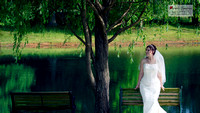 Striking bride by a weeping willow tree.