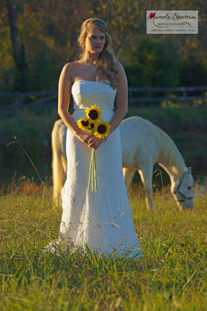 Bride and Horse during Monroe, NC sunset