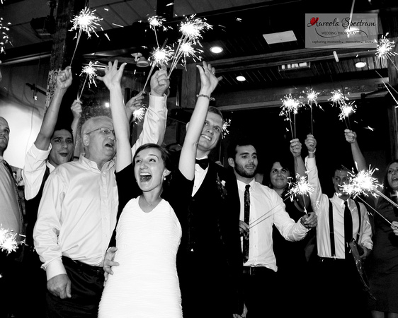Asheville, nc newlyweds exit with sparklers