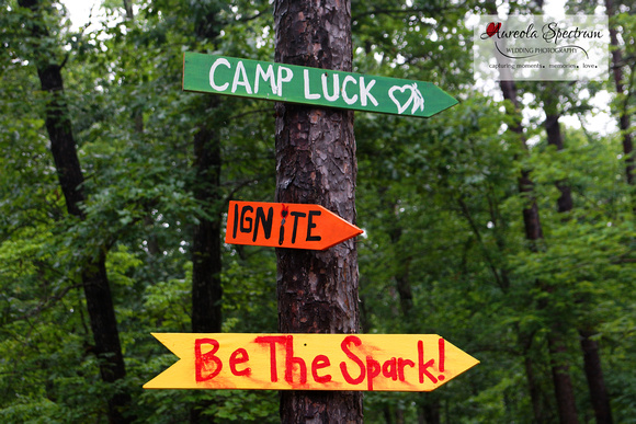 Camp Luck Decor Signs 2016