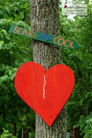 Scars are cool camp luck family camp 2016 decor.
