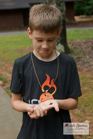 Heart kid finds a tiny frog at camp luck 2016.
