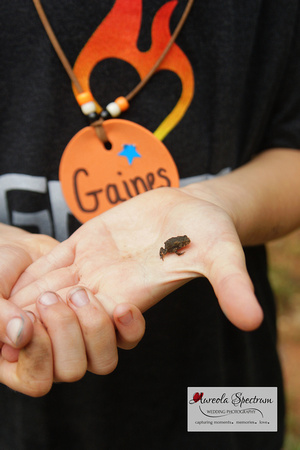 Close up of tiny frog that heart kid found at camp luck 2016.