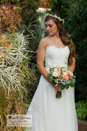 Beautiful bride stands under cacti archway.