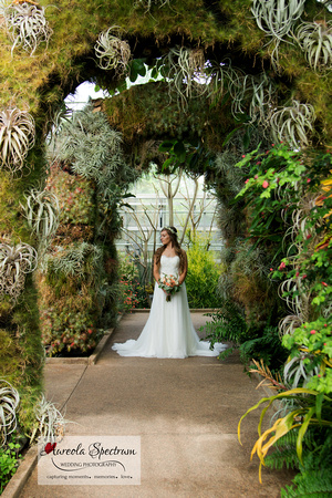 Bride stands under a cacti archway
